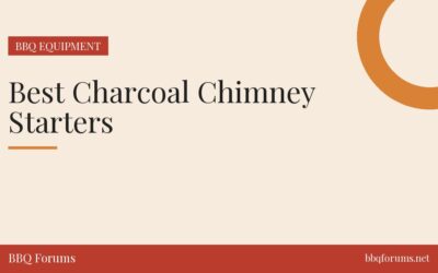 Best Charcoal Chimney Starters