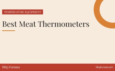 Best Meat Thermometers